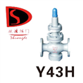 Y43Hʽpy